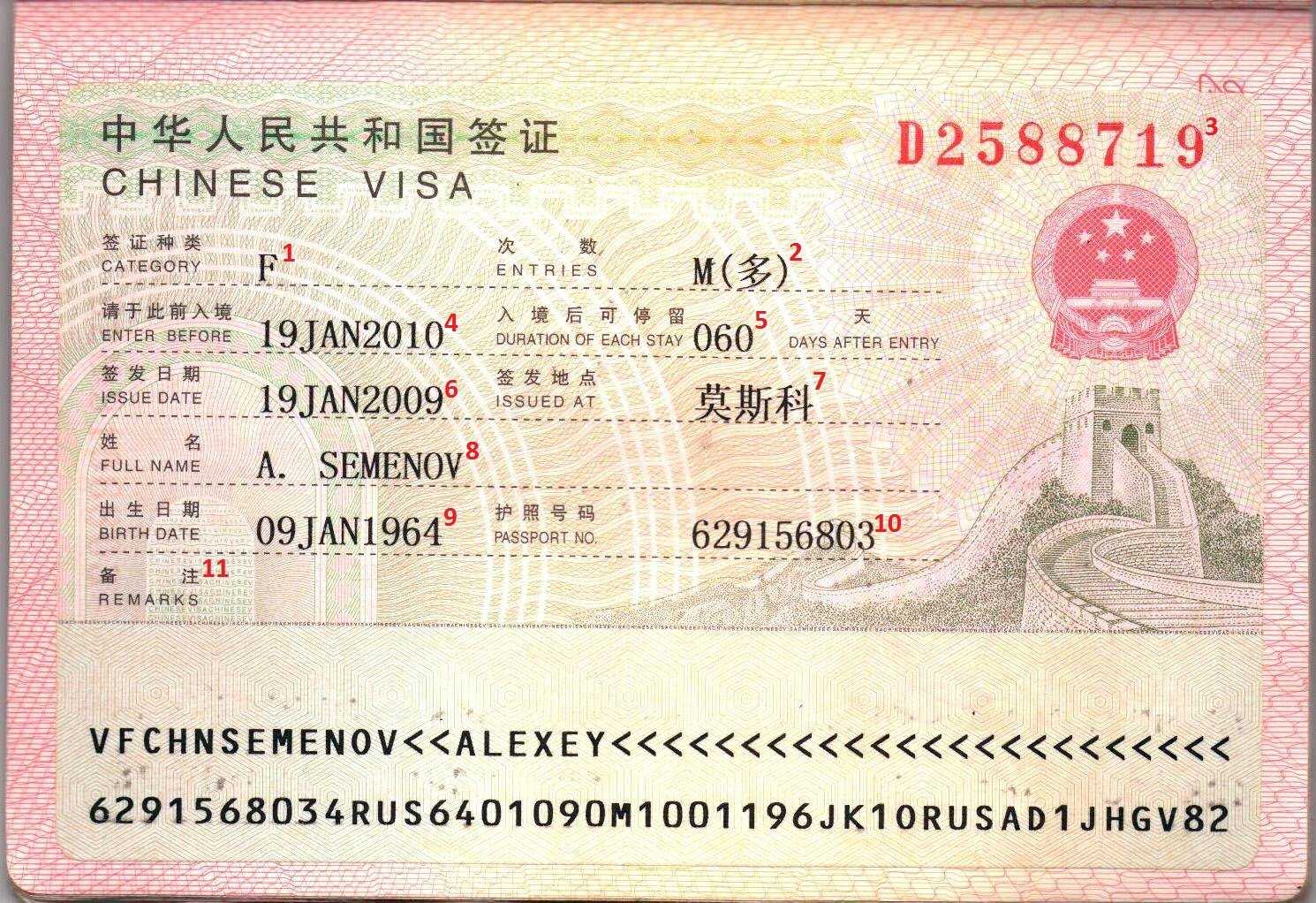 Виза для пересадки в китае. Виза в Китай 2023. Учебная виза в Китай. Туристическая виза в Китай. Виза z в Китай.