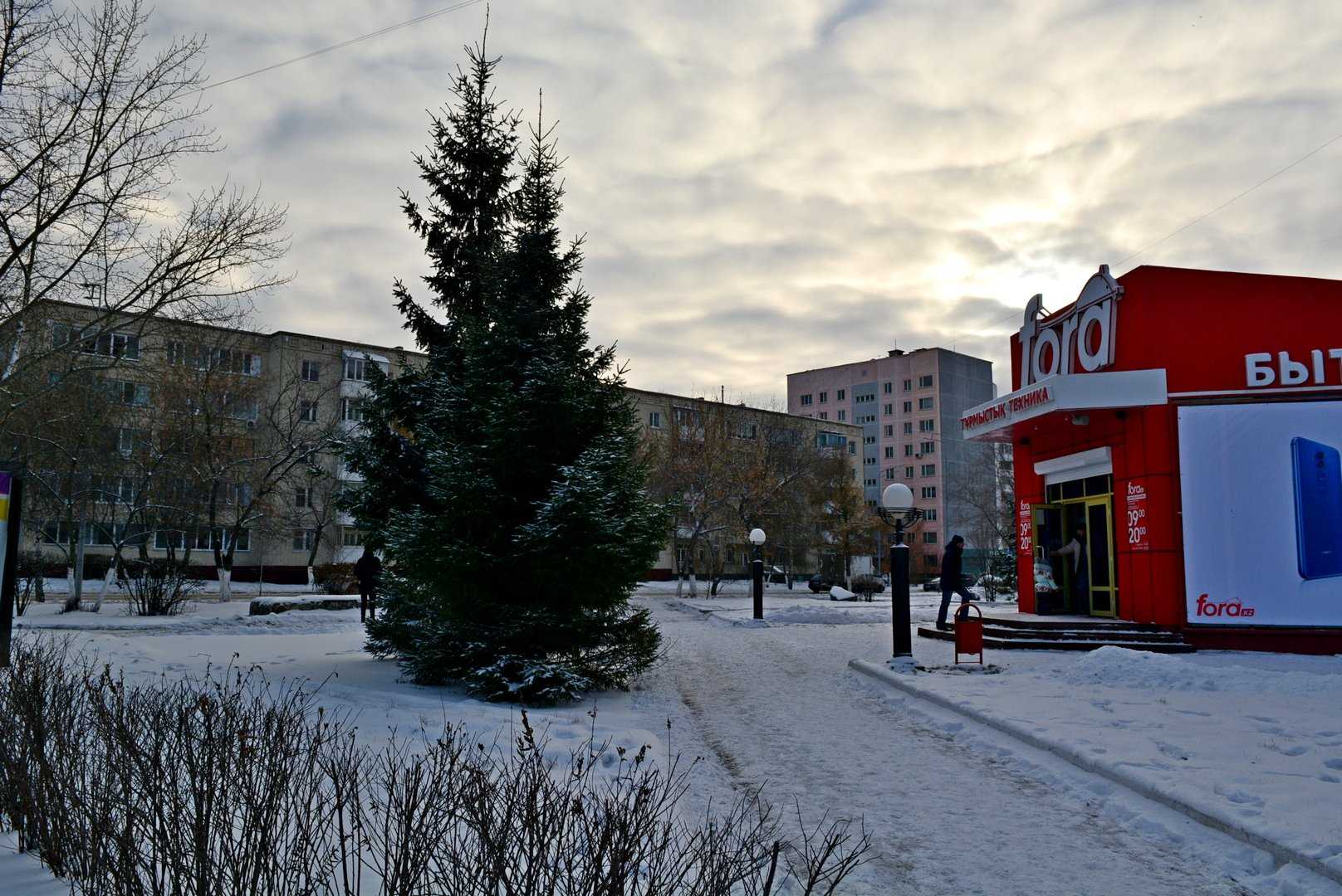 страховая компания Halyk фото 1