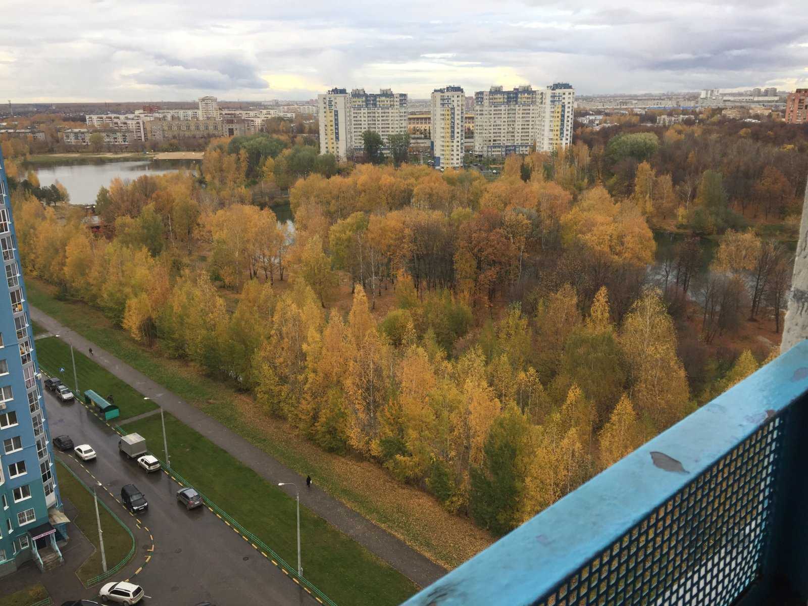 центр страхования ЛАЙМ-СТРАХОВАНИЕ фото 1